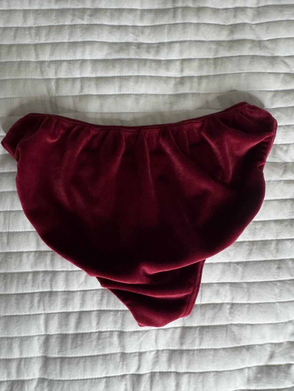 2EXIST Maroon Bikini Briefs - Soft Stretch Swim Bottoms - Velvet - Picture 2 of 4